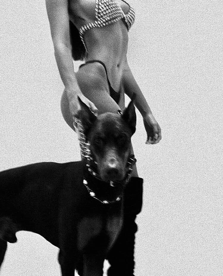 Model with Doberman
